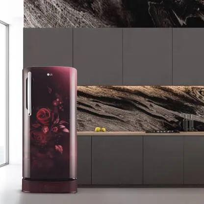 LG Scarlet Euphoria, GL-D211HSEY 201 L, Single Door, 4 Star,  Direct Cool, Refrigerator